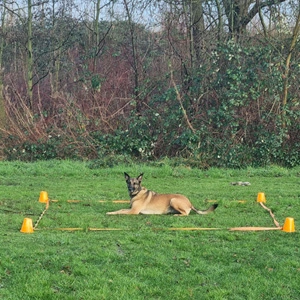 Training Blijf